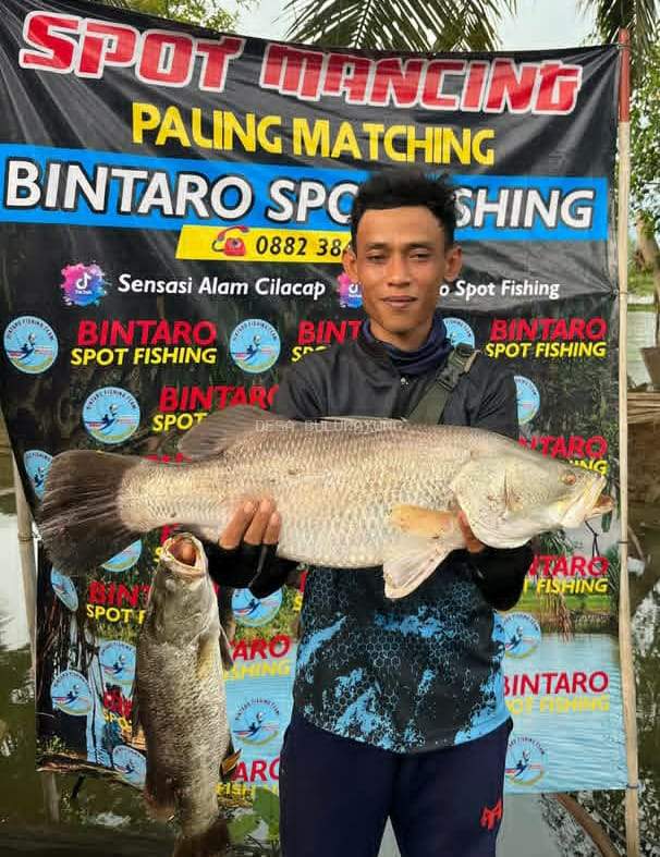 Bintaro Spot Fishing Desa Bulupayung, Surga Tersembunyi Para Pemburu Barramundi Monster di Patimuan Cilacap